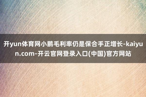 开yun体育网小鹏毛利率仍是保合手正增长-kaiyun.com-开云官网登录入口(中国)官方网站